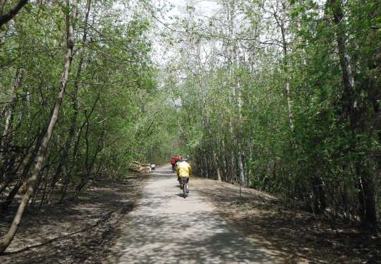 Riding on one of the wider dirt trails in Mill Creek ravine