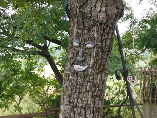 ...being watched by Ents.