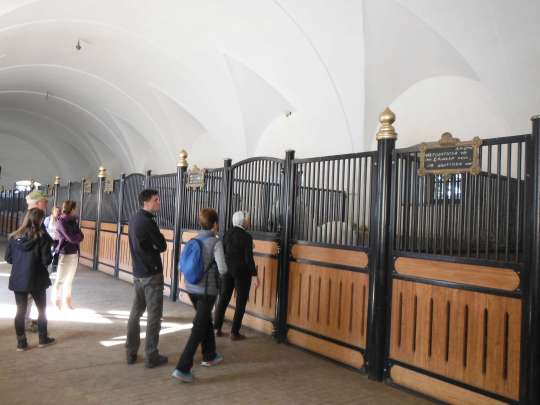 The mares stable. Lots of room in the stalls.